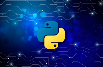  python